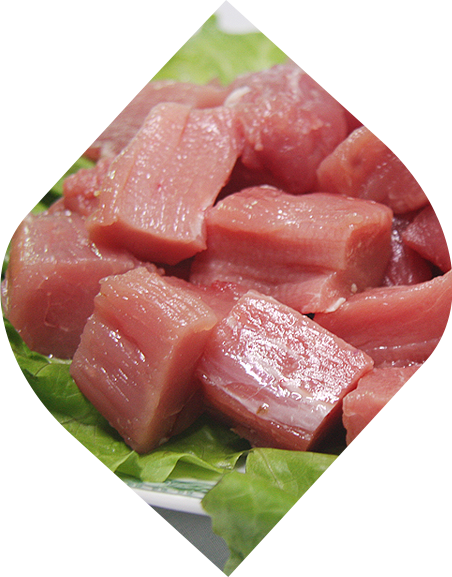 營(yíng)養(yǎng)食材